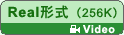 Bバージョン Real形式（256k）