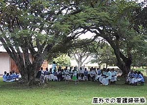 写真1