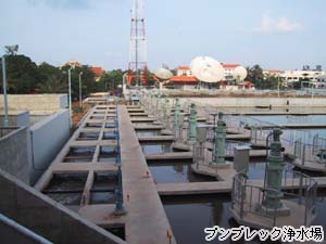 写真3