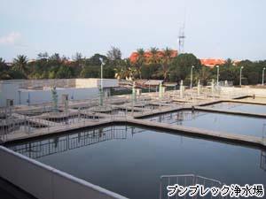 写真2