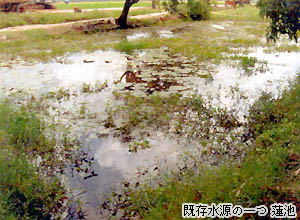 写真12