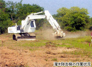 写真33