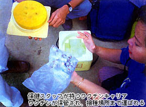 写真23