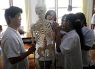 (写真）解剖学授業
