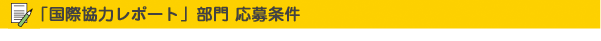 「国際協力レポート」部門 応募条件