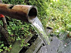 (写真1)人々が使用する水源の場所
