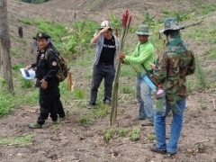 (写真1)植林予定地の最終チェックの様子