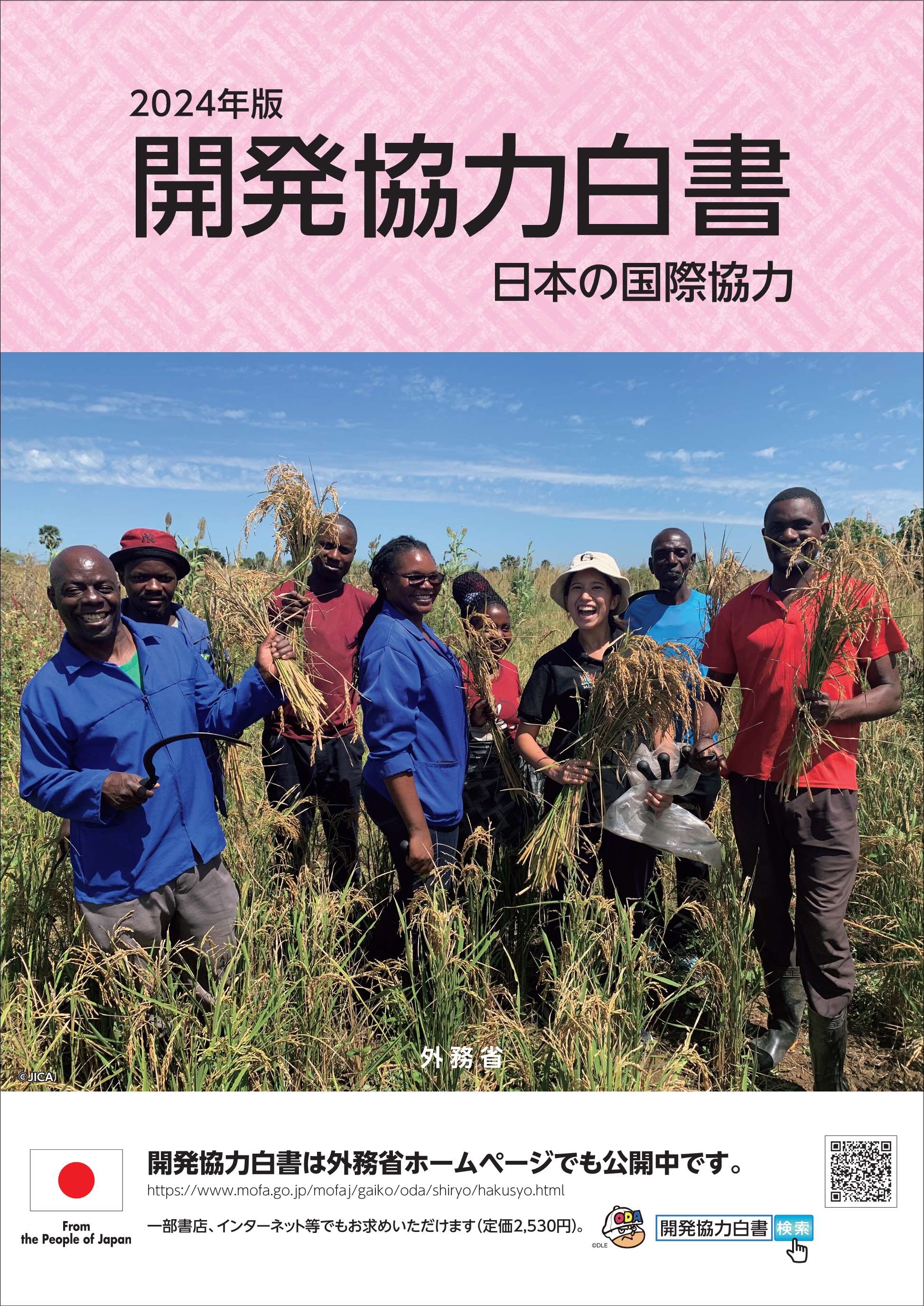 2024年版開発協力白書表紙