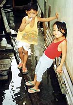 プロジェクト開始以前のパラダイス村