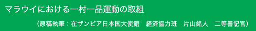 マラウイにおける一村一品運動の取組 原稿執筆 :在ザンビア日本国大使館 経済協力班 片山銘人 二等書記官