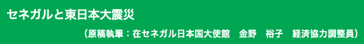 「セネガルと東日本大震災」原稿執筆:在セネガル日本国大使館 金野 裕子 経済協力調整員