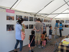 写真2