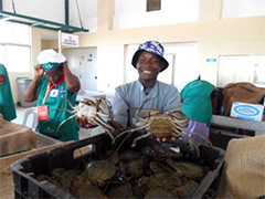 （写真2）マプト市魚市場