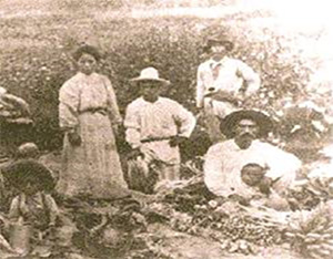 （写真3）榎本殖民団