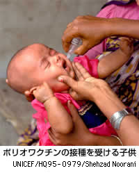 ポリオワクチンの接種を受ける子供の写真