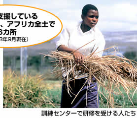 訓練センターで研修を受ける人々の写真