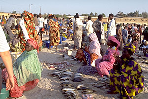 ダカールの魚市場の写真
