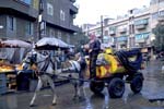 ロバに乗ったダマスカスの石油商人の写真