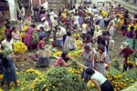 メキシコの花市場の写真