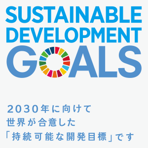 イノベーションと SDG 4: 質の高い教育