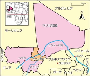 図