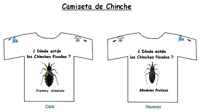 「サシガメはどこにいる？」とスペイン語で書かれたTシャツ。実物大のサシガメがTシャツの袖に描かれている