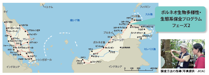 ボルネオ生物多様性・生態系保全プログラム（フェーズ2）
