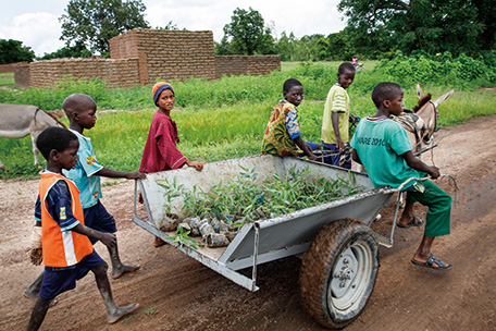 苗木を村に運んで植林をする少年たち（写真：飯塚明夫/JICA）