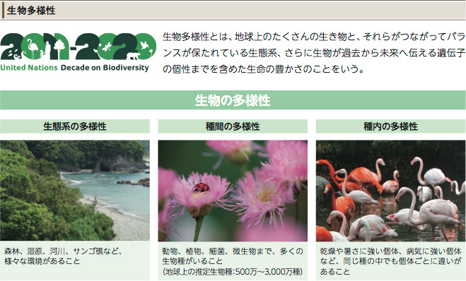 生物多様性