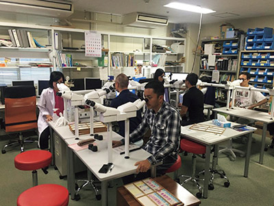 長崎大学医学部病理学博士課程にて研究を行うミャンマー人研修員。(写真:長崎大学医学部)