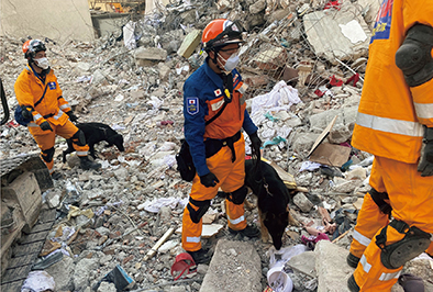 トルコ南東部を震源とする被災地で活動する日本の救助チームと救助犬（写真：JICA）