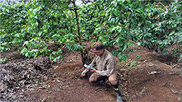 タンザニアでの土壌調査の様子（写真：岩本英照）