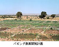 （写真）バギンダ農業開発計画