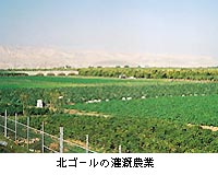 （写真）北ゴールの灌漑農業