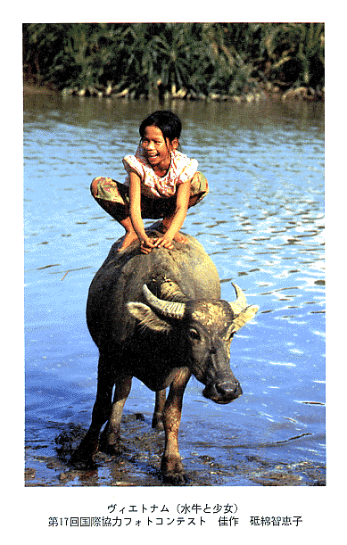 （写真）ベトナム「水牛と少女」