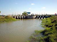 幹線水路Diversion Weir（左、右幹線分岐）