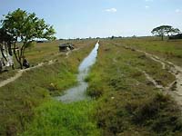 支線水路（Ngamoeyeik地区下流部）