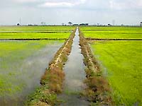 試験ほ場－排水路－