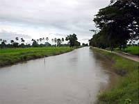 Mezari Canal System －Mone River,上ミャンマー－地域の風景に溶け込んだかんがい施設