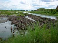 農民によって建設された取水施設－Theechauk, Yaw River, 上ミャンマー－河川の水を粗朶（写真中央部）でせき止め取水（右方向へ）する。