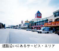 道路沿線の様子