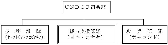 組織