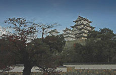 写真が入ります
