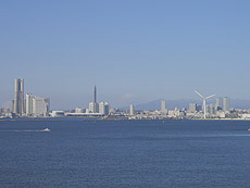 写真が入ります