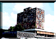 国立自治大学の図書館