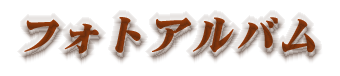 フォトアルバム