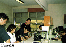 外務省 世界の学校を見てみよう ポルトガル 外務省 世界の学校を見てみよう ポルトガル
