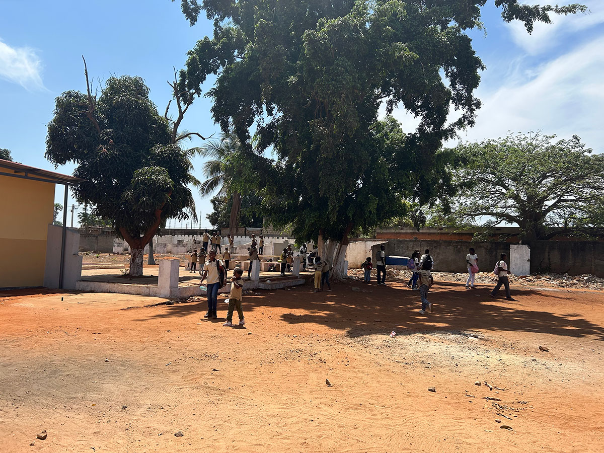 校庭にある日陰になる大きな木