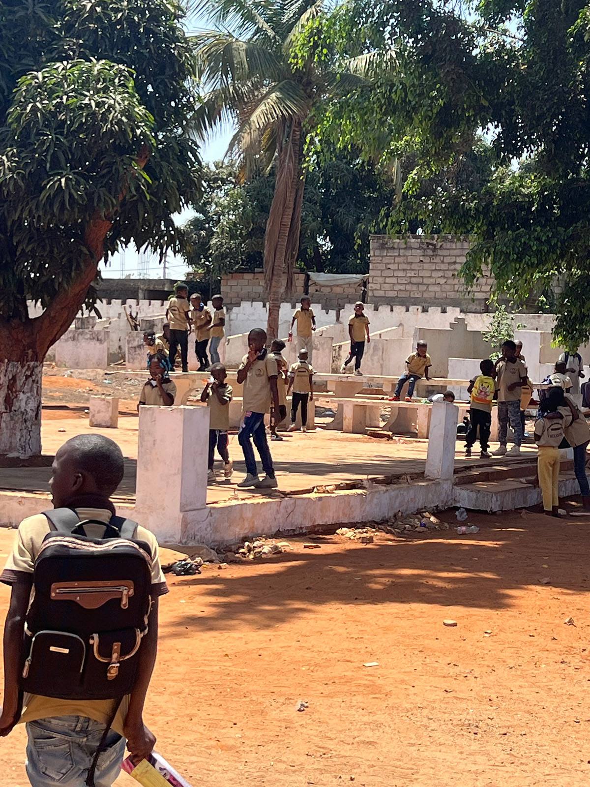 木々が多い校庭で各々過ごす生徒たち