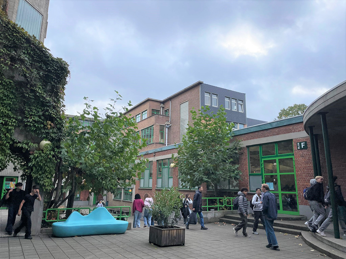 ベンチや木がある校舎の中庭